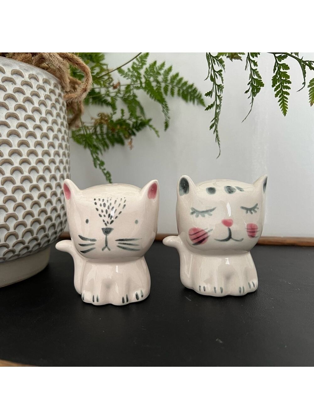 Boston Warehouse Cat Salt & Pepper Shakers- NIB